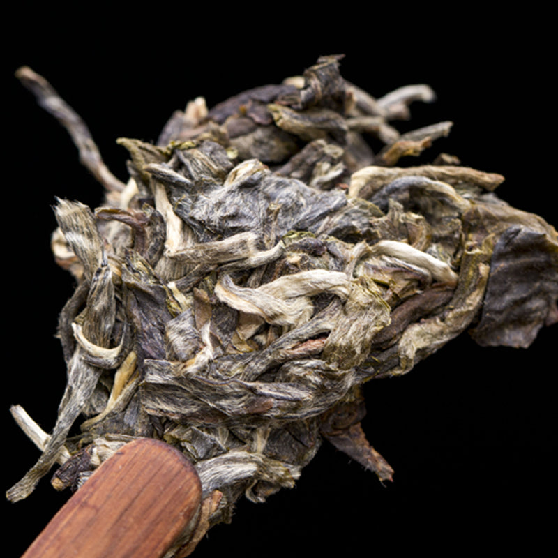 Kuih Pu'er Mentah Xigui 25 Tahun, 7 Kuih Satu Set, Manis Balik Berpanjangan Tanpa Pahit