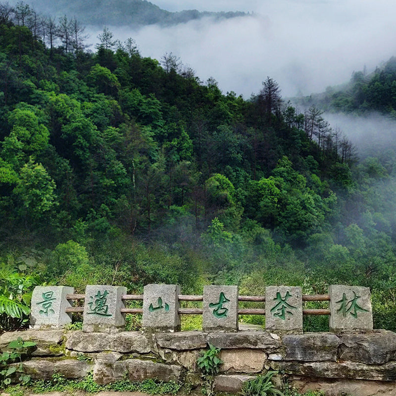 Batu Pu'er Masak Jingmai Warisan Dunia 16 Tahun · 500g, Wangian Tua Halus, Barang Premium Warisan Dunia