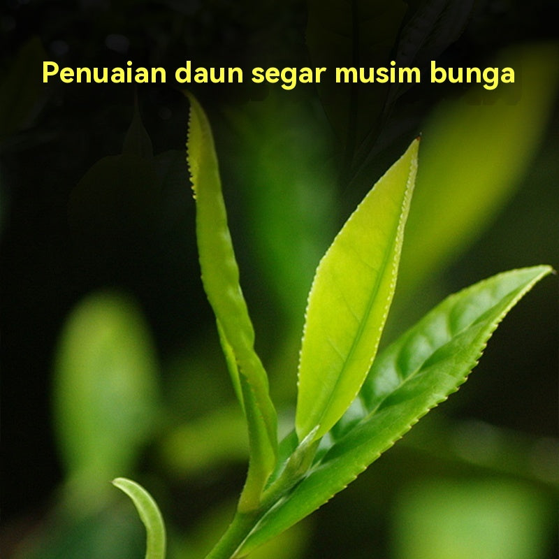 Batu Pu'er Masak Laobanzhang 15 Tahun Koleksi, Wangian Tua Lembut, Halus Tanpa Pahit